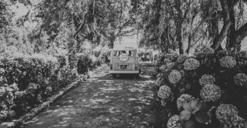Casamento_CT